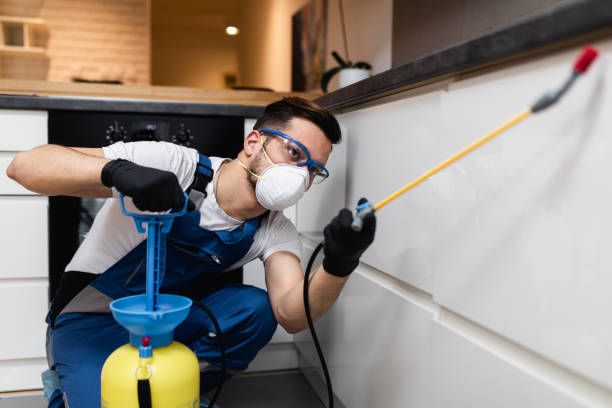 Best Local Pest Control Services  in New Pek, IN
