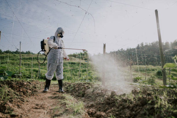 Best Commercial Pest Control Services  in New Pek, IN