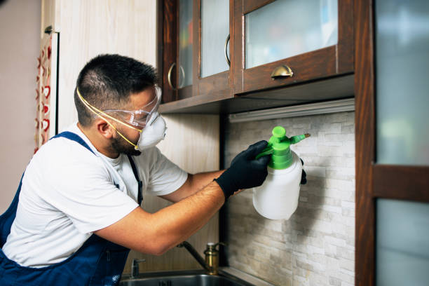 Best Termite Control Services  in New Pek, IN
