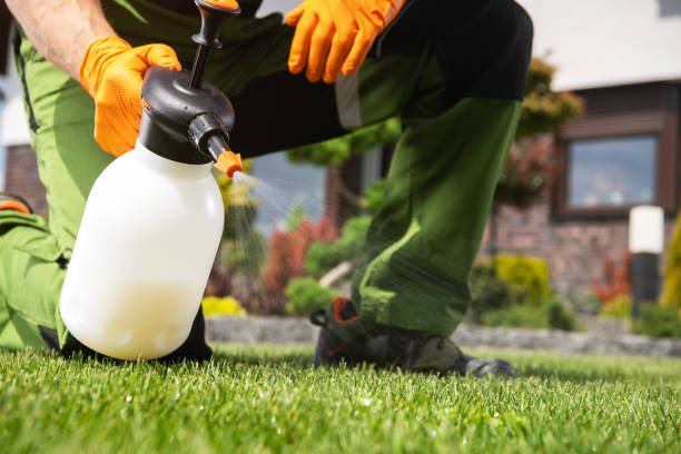 Best Pest Control for Homes  in New Pek, IN