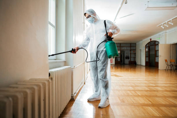 Best Flea Control Services  in New Pek, IN