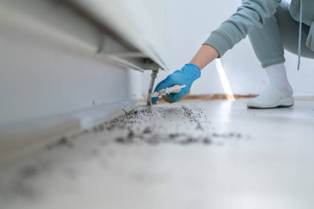 Best Cockroach Control Services  in New Pek, IN